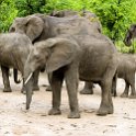 ZMB EAS SouthLuangwa 2016DEC09 KapaniLodge 035 : 2016, 2016 - African Adventures, Africa, Date, December, Eastern, Kapani Lodge, Mfuwe, Month, Places, South Luanga, Trips, Year, Zambia